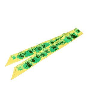 Hermès Rayons X Silk Twilly Scarf